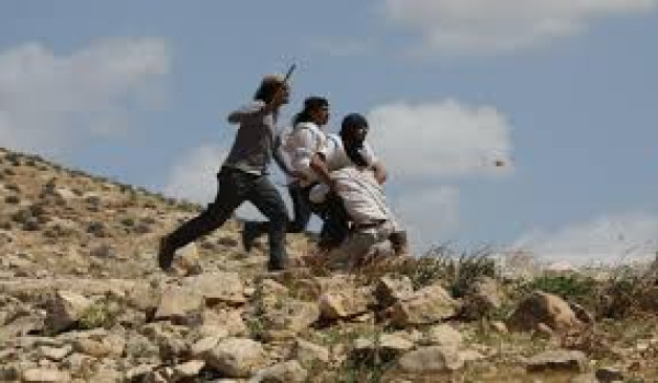 تصاعد اعتداءات المستعمرين في الضفة الغرب...