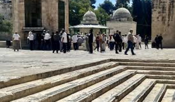 مستعمرون يؤدون طقوسا تلمودية عند باب الس...