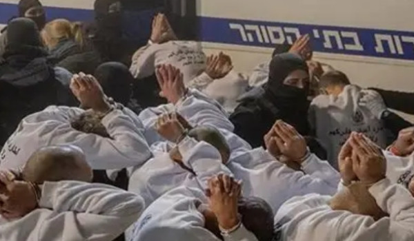 المقررة الأممية المعنية بالتعذيب تحذر: ق...