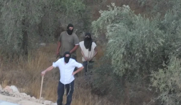 تقرير لمراسلة PNN : تصاعد اعتداءات المست...