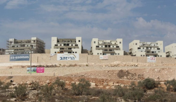 ارتفاع الانتهاكات بحق مزارعي قلقيلية منذ...