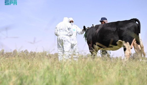 وزارة الزراعة: حملة تحصين وطنية لمواجهة ...