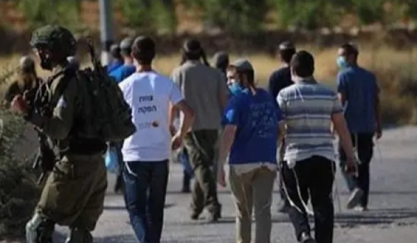 إصابة مواطنين ومتضامنة أجنبية في هجوم لل...