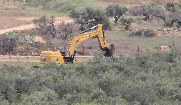 الاحتلال يقتلع عشرات أشجار الزيتون في تق...