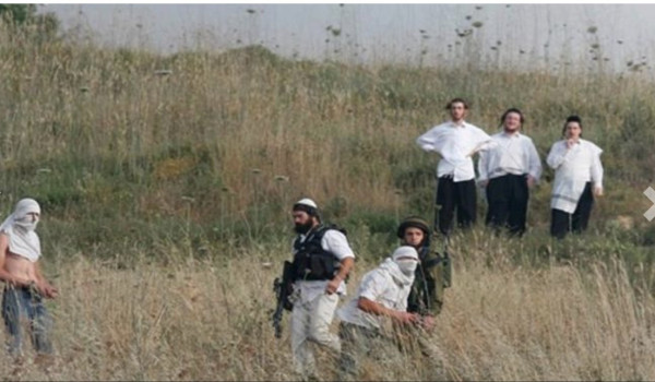 اعتدوا على مصلين بمسجد : المستوطنون يواص...