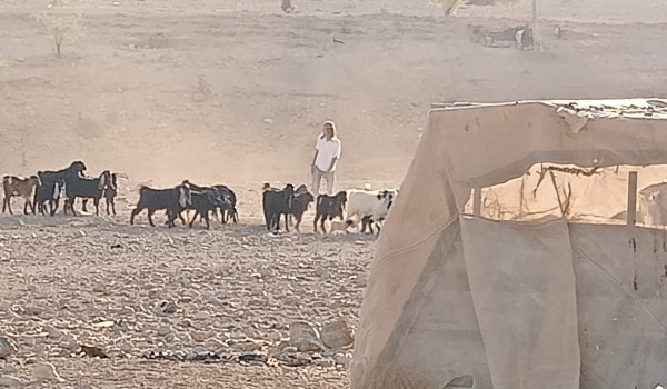 مستعمرون يقتحمون 