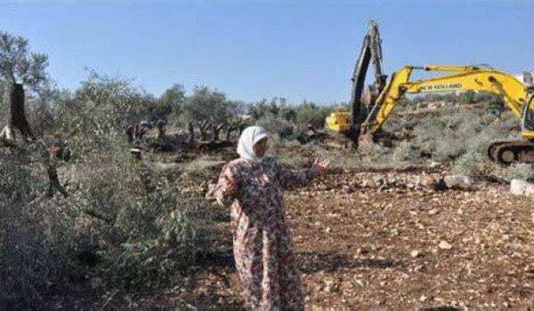 الاحتلال يقتلع عشرات الأشجار المثمرة في ...