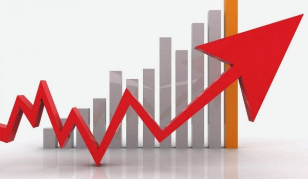 الإحصاء: ارتفاع مؤشر أسعار الجملة بنسبة ...