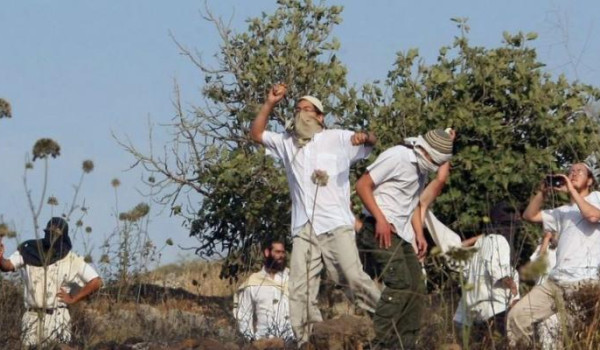 إصابتان بينهما مسنة جراء اعتداء المستعمر...