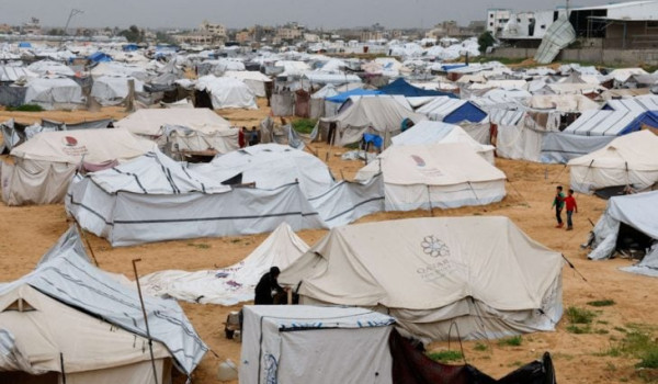 أونروا: الجرذان تعض أطفال غزة أثناء نومه...