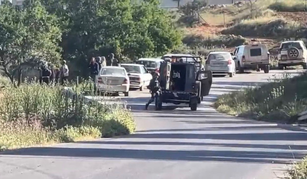 مستوطنون مسلحون يهاجمون سنجل ويسرقون نحو...