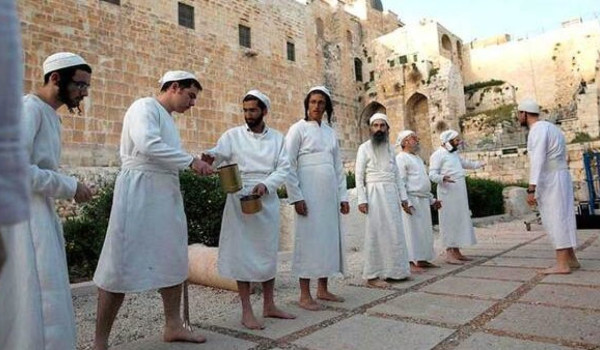 لليوم الثاني: مستعمرون يؤدون طقوساً تلمو...