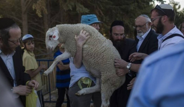 محافظة القدس: دمج جماعات 