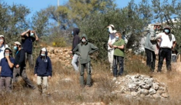سنجل: المزارعون يحصدون القمح وسط مخاوف م...