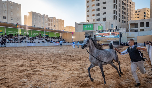 مدينة روابي تشهد انطلاق أضخم بطولات جمال...