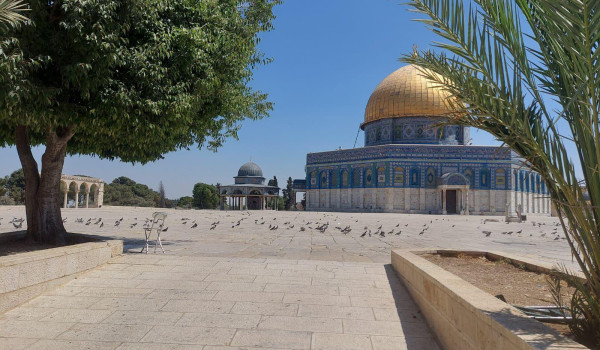 الاحتلال يغلق أبواب المسجد الأقصى...