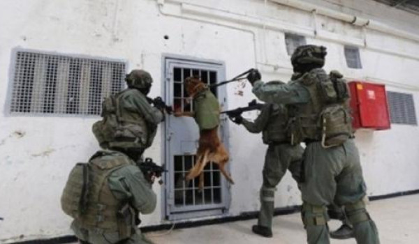 هيئة الأسرى: واقع اعتقالي صعب يفتك بأشبا...