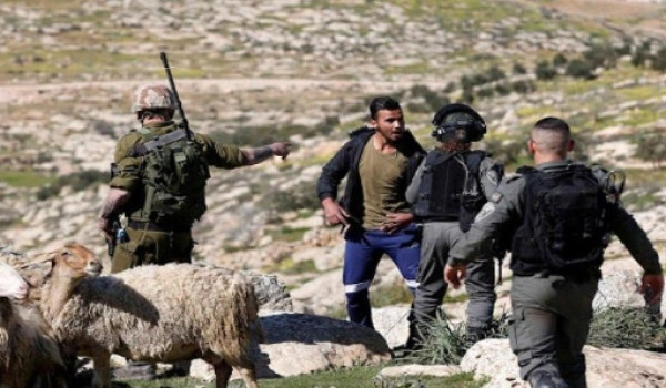 مستعمرون يقتحمون بيت عور التحتا وجلجليا ...