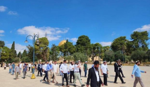 مستوطنون يقتحمون الأقصى وسط إجراءات مشدد...