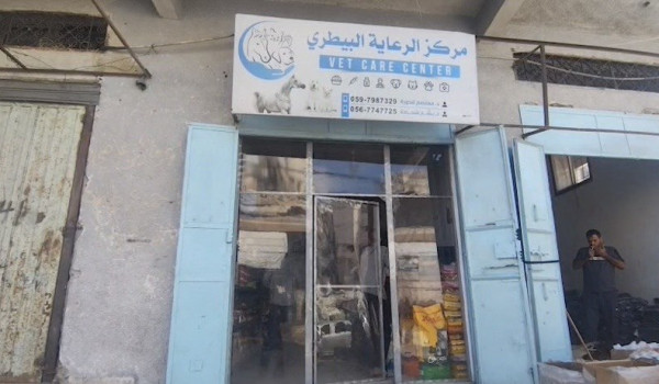 في غزة : طبيب بيطري يداوي الحيوانات بما ...