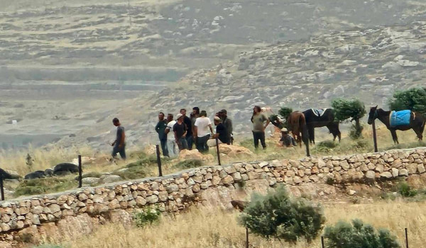 مستعمرون إرهابيون ينقلون أخشابا إلى بؤر ...