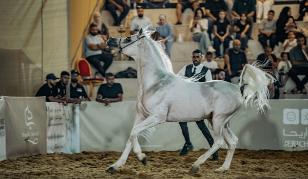 روابي تختتم بطولة الإنتاج المحلي بمشاركة...
