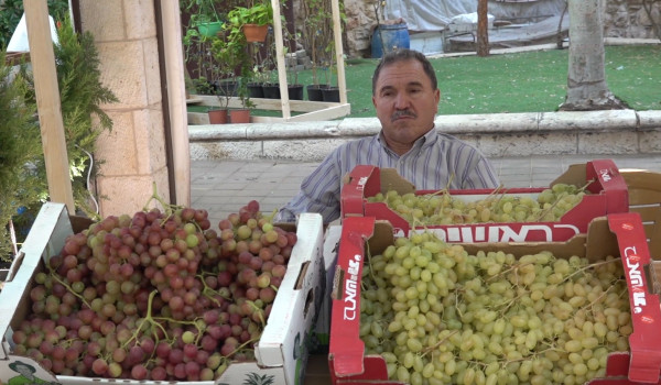في إطار (الأيام التسويقية للعنب) بالخليل...