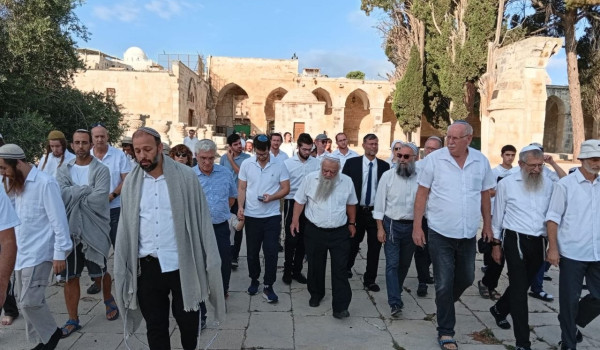 حاملين 