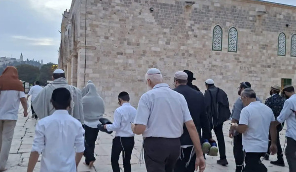 عشرات المستعمرين يقتحمون المسجد الأقصى ا...