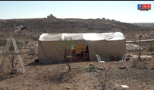 عفاف فاضي الهدار.. مواطنة فلسطينية تواجه...