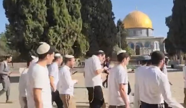 عشرات المستعمرين يقتحمون المسجد الأقصى ا...