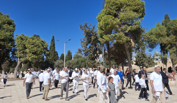 مستعمرون يقتحمون المسجد الأقصى...