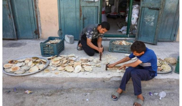جمعية المخابز: عجز الطحين في قطاع غزة يص...