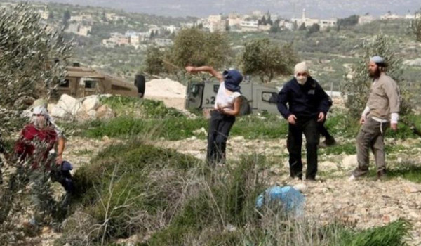 إصابة مواطنة في هجوم للمستوطنين جنوب الخ...