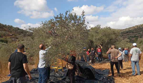 رغم الاعتداءات والتحديات.. الفلسطينيون ي...
