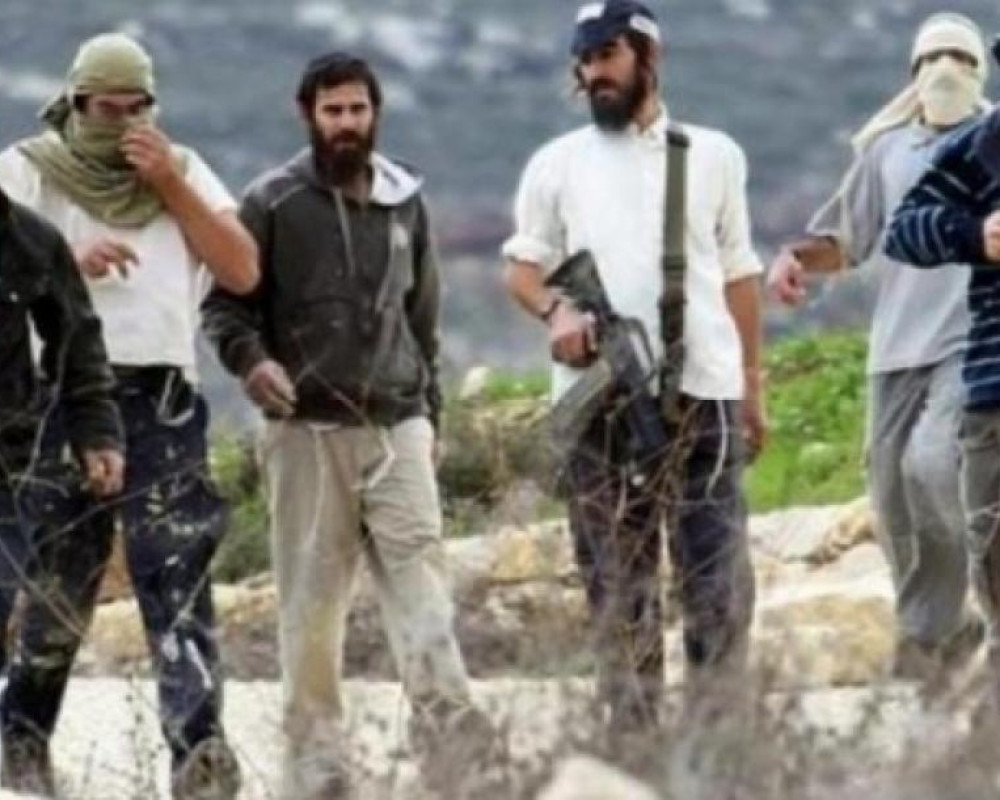 Settlers steal livestock equipment and plow lands in the northern Jordan Valley