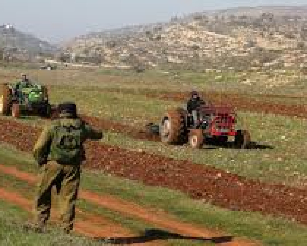 With the aim of seizing them: Settlers plow lands in the town of Sinjil near Ramallah