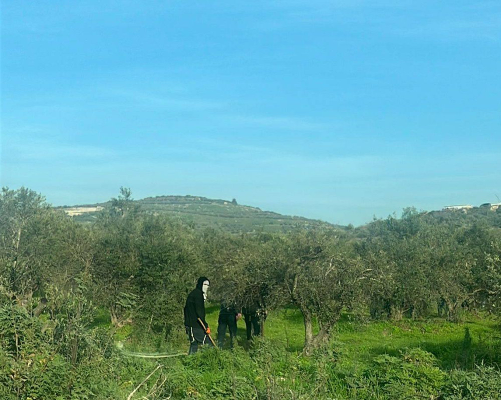 Two Palestinians injured, one critically, in settler attack near Nablus factory