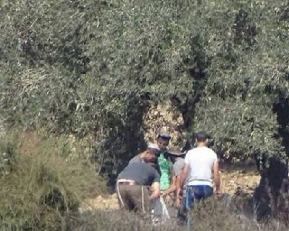 News Main Image 