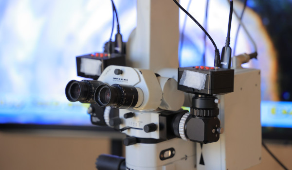 Palestinian Doctor Achieves Breakthrough...