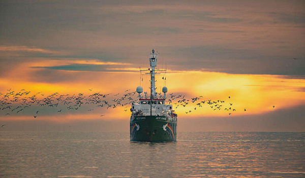 Greenpeace vessel joins global flotilla ...