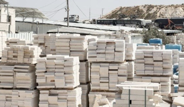 From Economic Pillar to Crisis: Palestin...