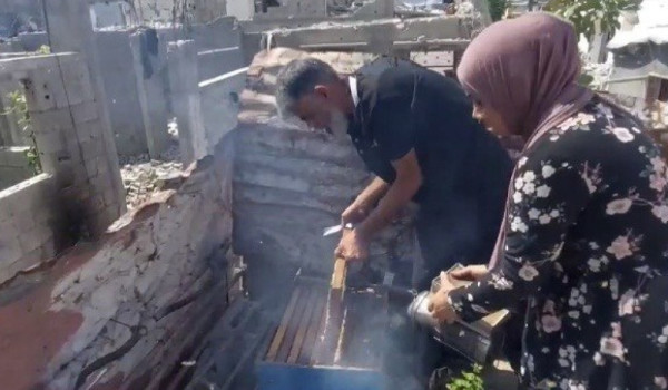 One Hive Survived the War. In Gaza, It B...